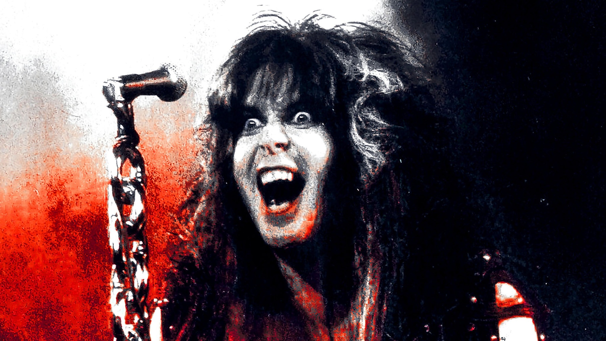 W.A.S.P. with Armoured Saint