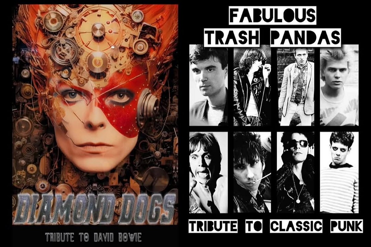 Diamond Dogs & Fabulous Trash Pandas