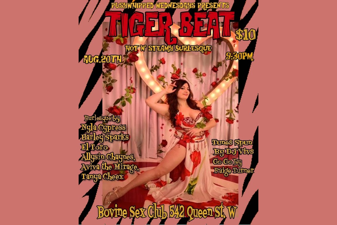 Pussy Whipped Wednesdays: Tiger Beat!