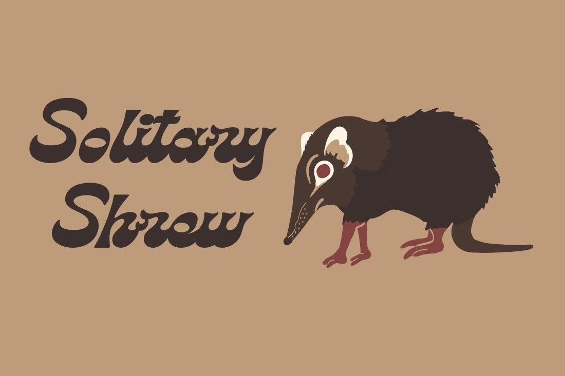 Solitary Shrew: Ever Since We Met & Public Library