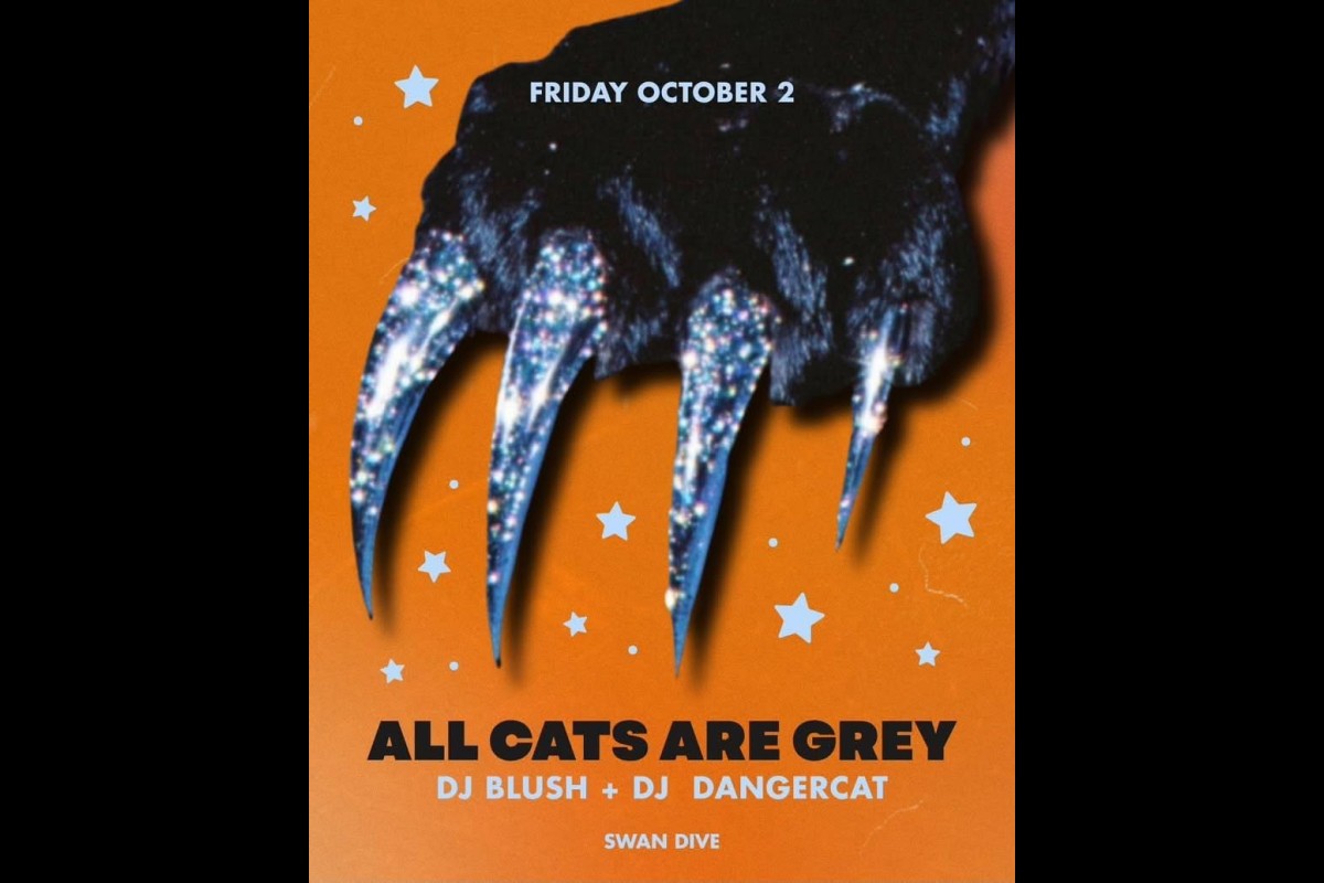 All Cats Are Grey
